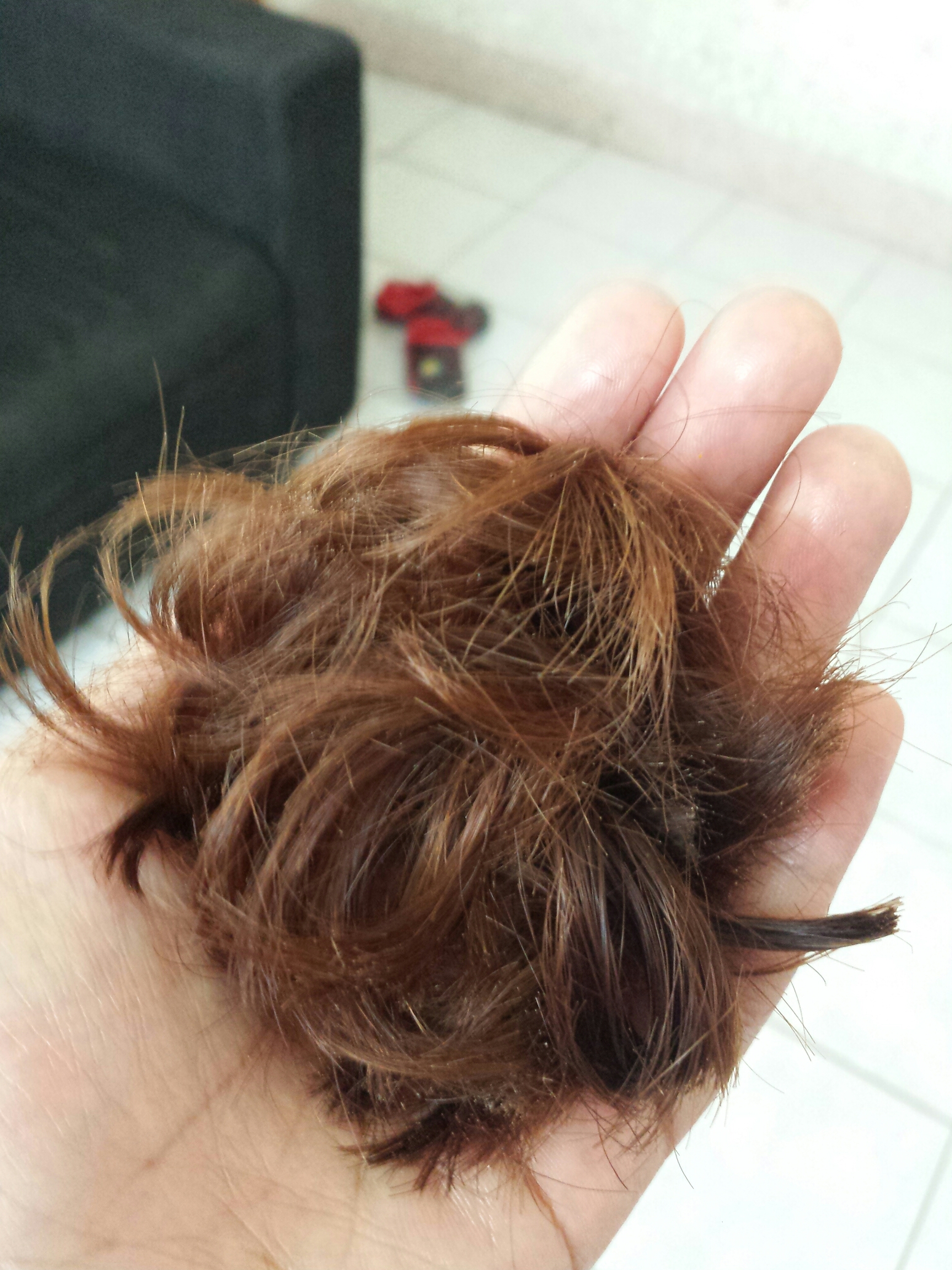 When She Cuts Her Own Hair Bonzai Brew When She Cuts Her Own Hair Bonzai Brew